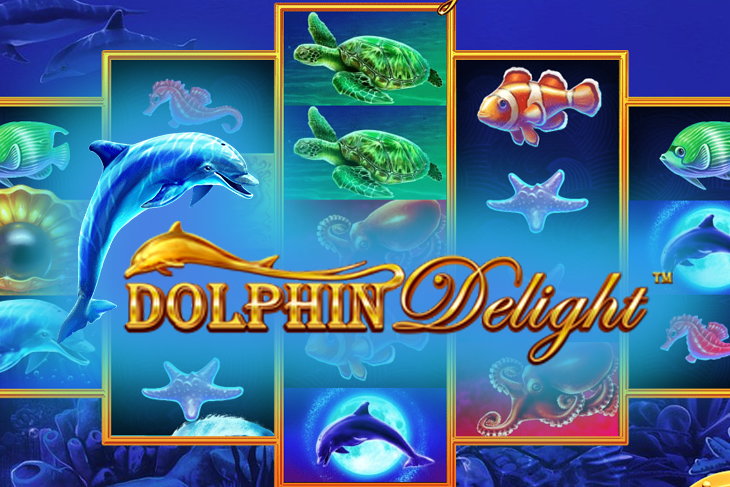 Dolphin Delight