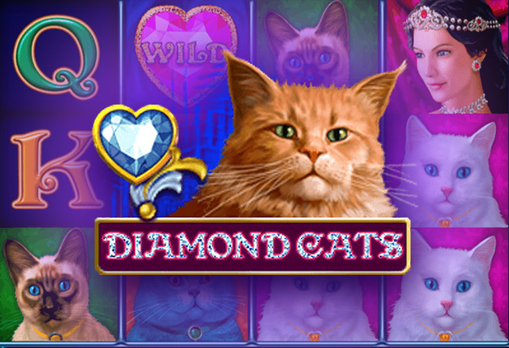 Diamond Cats